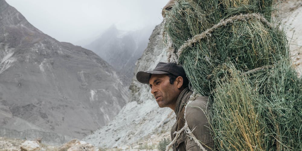 v999-82 hôm sau đánh 61-46 hay bắt buộc đi với 00 hoặc 9 PG88S.IO - Bí quyết dự đoán & phần trăm ăn tiền